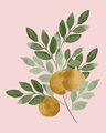 Image Not Available